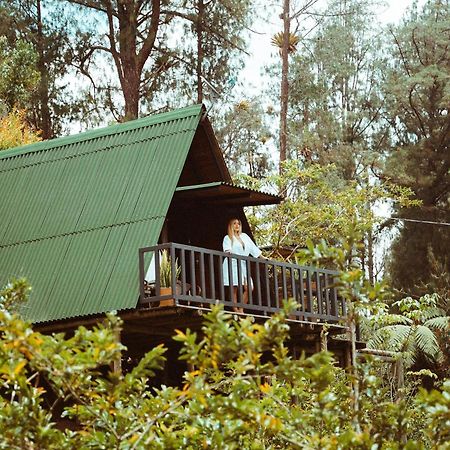 Cardinal Glamping Hotell Guatapé Eksteriør bilde